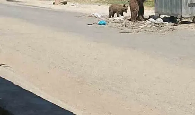 Bozayı Meriç'in köylerini geziyor