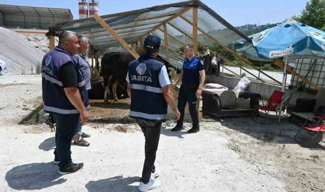 İlkadım zabıtası kurban denetimlerini artırdı