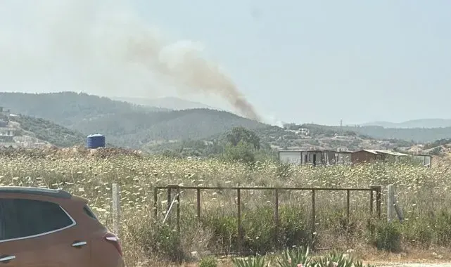 Milas'taki orman yangını kontrol altına alındı