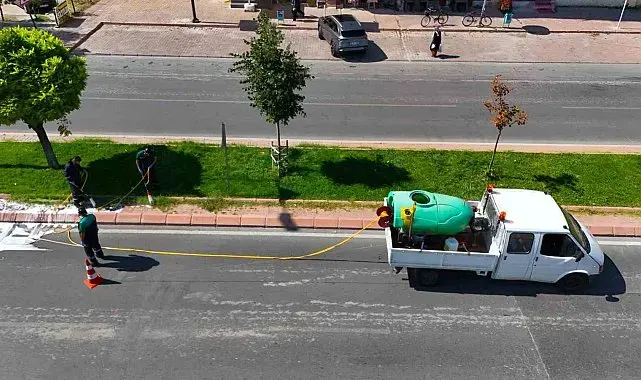 Yeşil alanlarda hastalık ve zararlılara karşı mücadele sürüyor