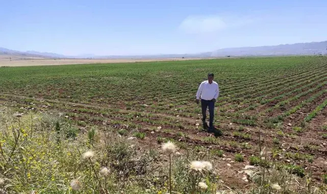 Silopi'ye bin kişiyi istihdam edecek Sera Organize Tarım Bölgesi kuruluyor