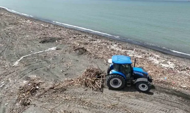 Deniz kaplumbağaların üreme merkezinde hummalı temizlik