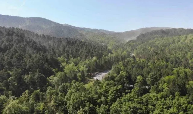 Balıkesir'de ormanlık alanlara giriş ve çıkışlar yasaklandı