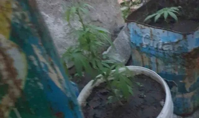Koçarlı'da uyuşturucuya geçit yok