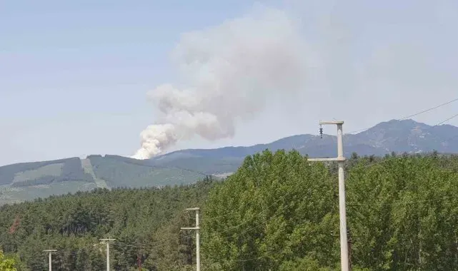 Bursa'da orman yangını...Uçaklar ve helikopterler sevk edildi