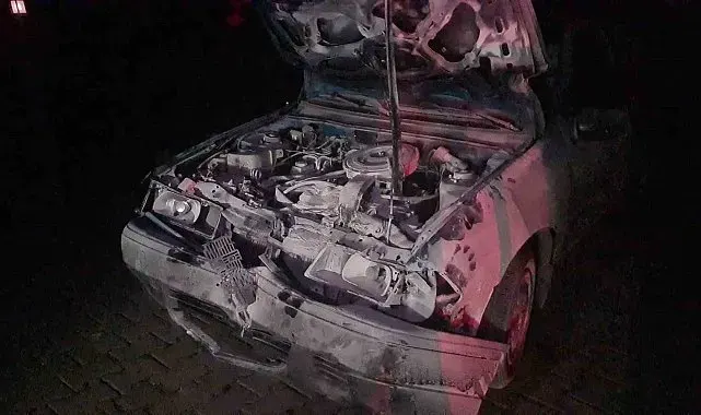 Otomobil karayoluna çıkan 3 mandaya çarptı: 1'i ağır, 2 yaralı