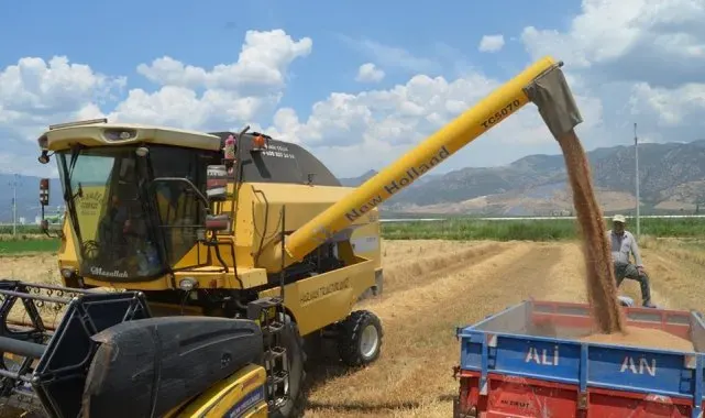 Buharkent'te buğday hasadı başladı