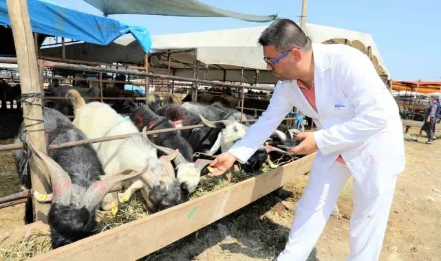 Yüreğir'de kurban satış ve kesim yerleri belirlendi