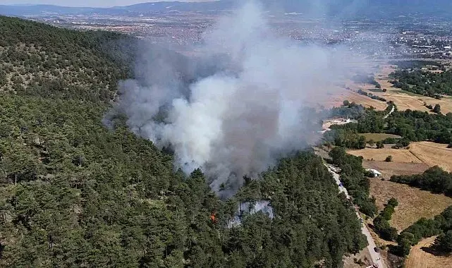 Bolu'daki orman yangını kontrol altına alındı