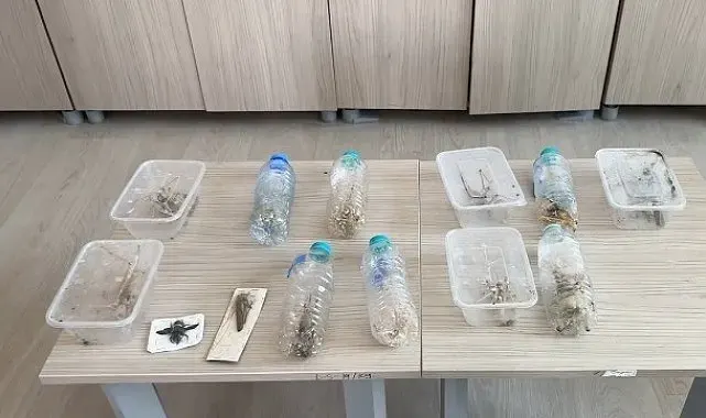 Bakan Yumaklı: "İzinsiz şekilde tür toplayıcılığı yapan 2 yabancı uyruklu şahsa 1,4 milyon lira idari para cezası uyguladık"