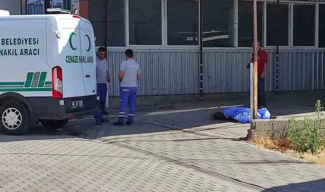Sabah işe gelen esnaf buldu