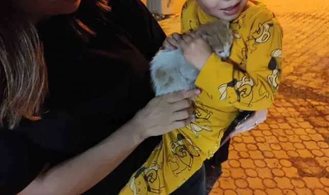 Aracın motoruna giren kedi yavrusu jandarma tarafından çıkarıldı