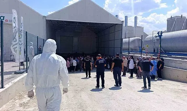 Domates serasında zehirlenme: 10 çalışan hastaneye kaldırıldı