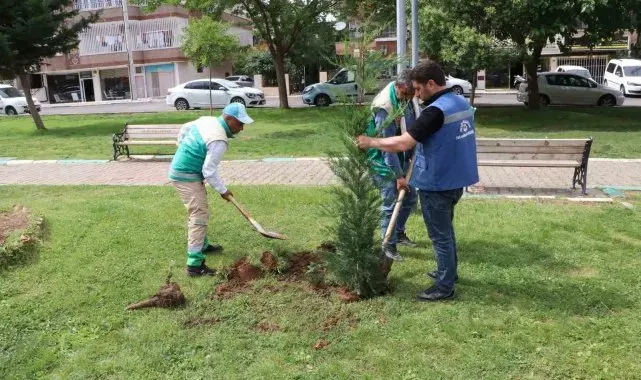 Peyzaj çalışması ile parklar güzelleştiriliyor