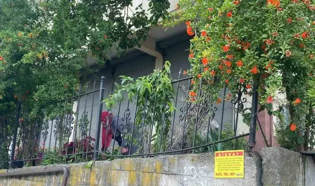Dut toplamak için çıktığı ağaçtan düşerek demir korkuluklara saplandı