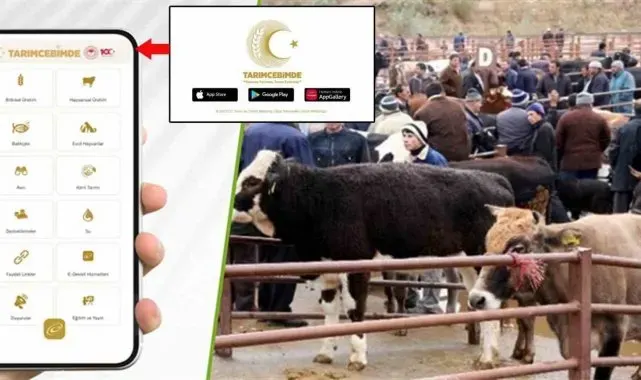 "Tarım Cebimde" ile 3 adımda kurbanlık sorgulama