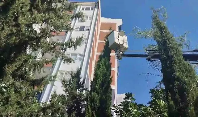 Mahsur kalan kediyi itfaiye kurtardı