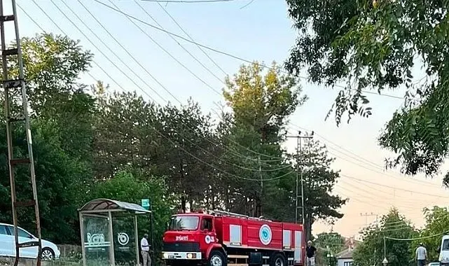 Muratlı'da ağaçlık alanda çıkan yangın söndürüldü