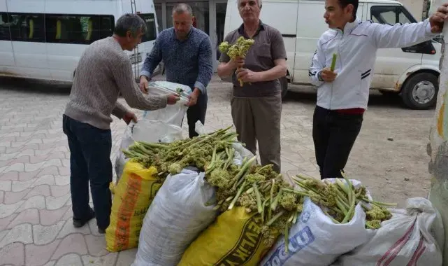 Işgın tezgahlardaki yerini aldı