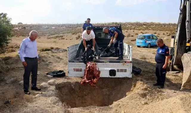 Mersin'de menşei belirsiz 500 kilo et ele geçirildi