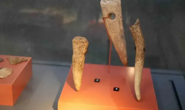 Karadeniz'deki ilk insan yerleşkesinin buluntuları dikkat çekiyor
