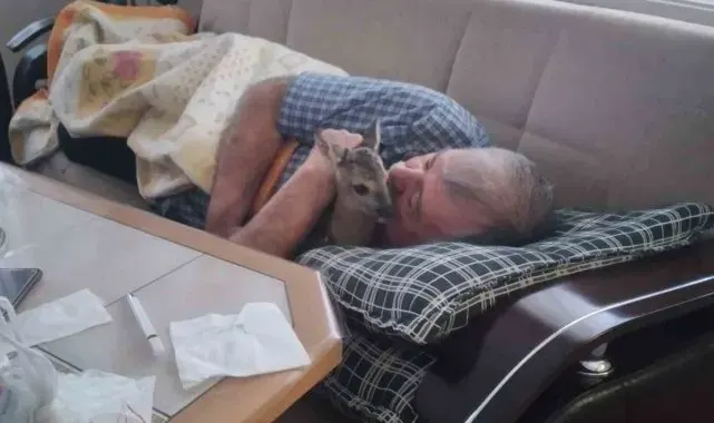 Öldü sandı, can suyuyla hayata bağladı
