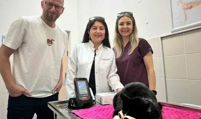 OMÜ Hayvan Hastanesinde 'düşük doz lazer tedavi' hizmeti