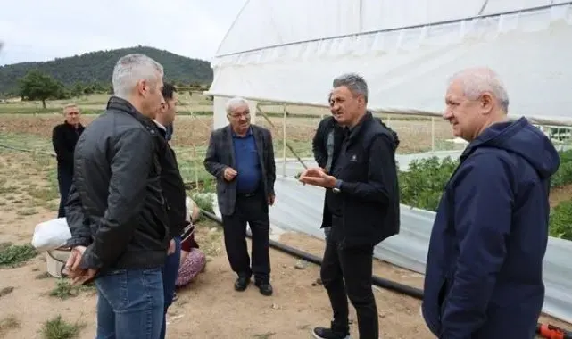 Sera alanlarında kontrol ve denetim çalışmaları devam ediyor