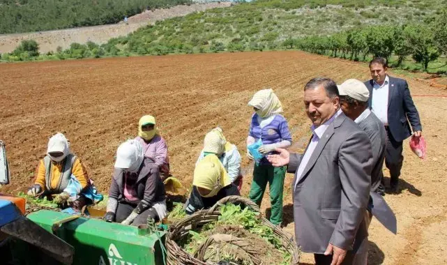 Baştuğ'dan 'Çiftçiler Günü' mesajı