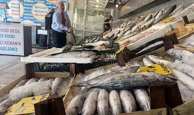 1 Eylül'den sonra denizlerde Palamut Bolluğu işareti