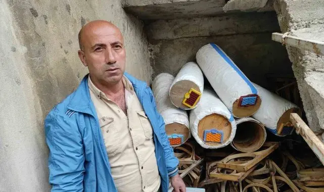 Batman'da aç kalan ayılar arı kovanlarına saldırdı
