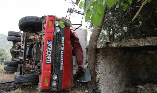 Seyyar pideciyi ölümden zeytin ağacı kurtardı