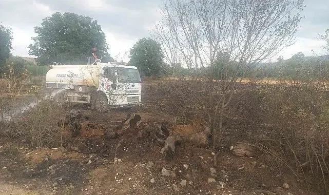 Bilecik'te çıkan yangında balyalar kül oldu