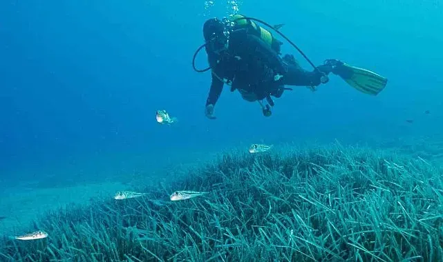 Türkiye'nin ilk Deniz Milli Parkı Fethiye-Kaş ve Kuzey Ege sınırlarında