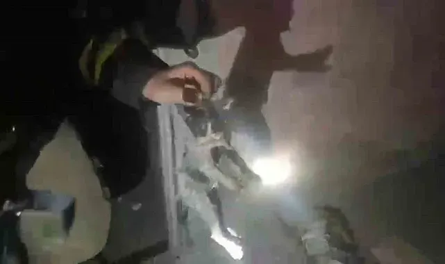 Yangında mahsur kalan kediler ekipler tarafından kurtarıldı