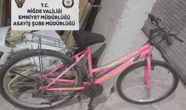 Niğde'de 11 hırsızlık şüphelisi yakalandı