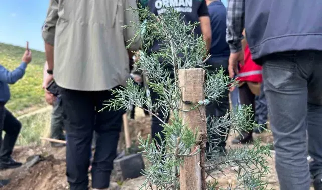Genç kadın her diktiği ağaca bir hatıra bırakıyor