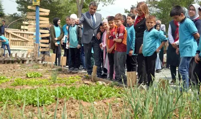 Atıl arazi seraya dönüştürüldü, öğrenciler tarımsal üretime başladı