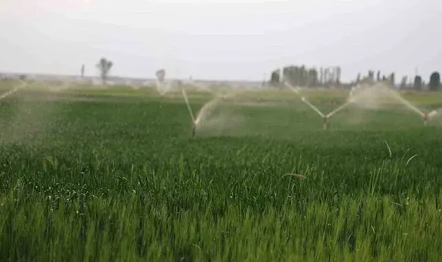 Konya Ovası'nda obruk alarmı: Sayı 740'ı aştı