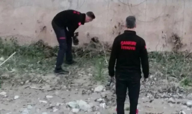Çaya düşen yavru köpek kurtarıldı