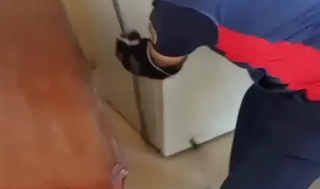 Hatay'da yerleşim yerlerine giren yılanlar yakalandı