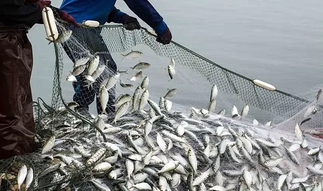 Muğla'nın ihracat rekortmeni olduğu su ürünleri sektörünün ihracatı 2 milyar doları geçti