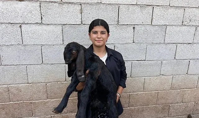 Babasına destek çıkmak için keçi besleyip hayvan ticareti yapmaya başladı