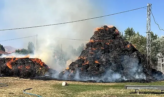 Yüksekova'da 6 bin 500 bağ ot kül oldu
