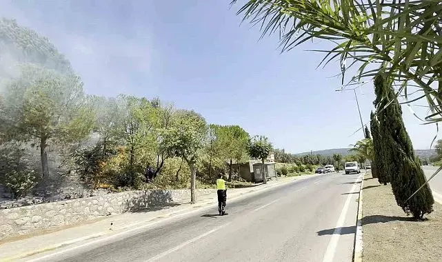 Yol kenarında başlayan yangın ormana sıçradı, ekiplerin müdahalesiyle söndürüldü