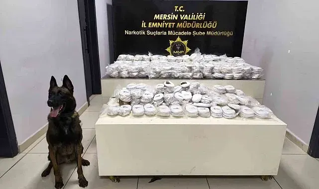 Piyasa değeri 13 milyon 960 bin lira olan 3 kilo 490 gram kokain ele geçirildi