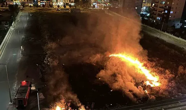 Diyarbakır'da meydan gelen anız yangını korku ve paniğe yol açtı