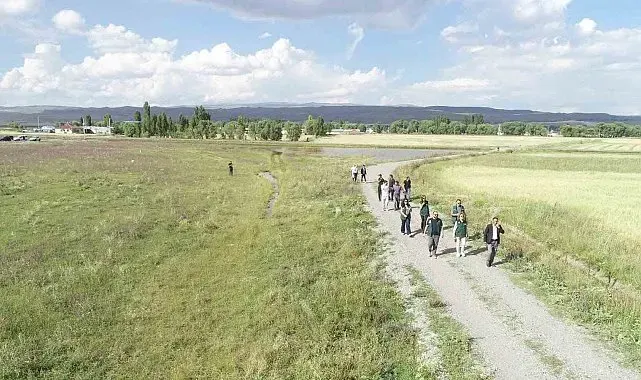 Kars ve Ardahan'da 52 bin hektarlık alanda arazi toplulaştırma incelemesi