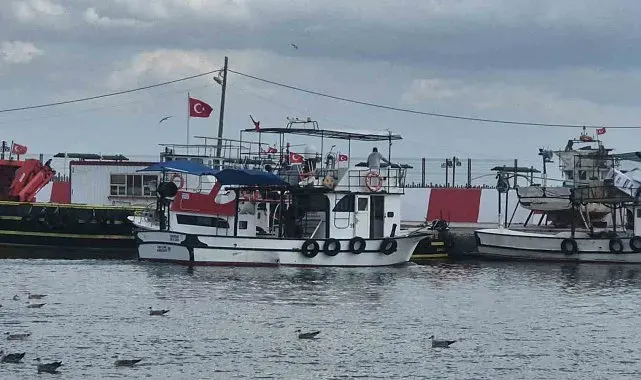 Palamut tezgaha erken gelecek