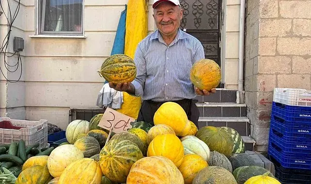 Tavşanlı'nın meşhur Kışlademirli kavunu pazara indi